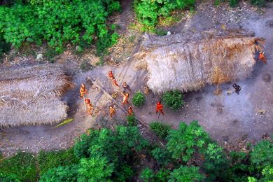 Amazônia - Vanishing Habitat?