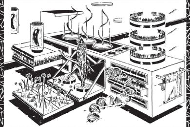 Metabolic Kitchen: Time to Cook