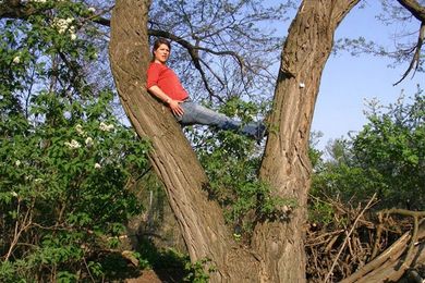 Lazy Climbers Workshop