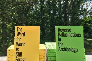 Take the books outside: Buchpräsentationen intercalations 3 & 4 im Tiergarten