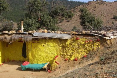 La maison jaune (The Yellow House)