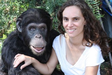 Great Ape Cinema: Guided tour with expert Rachel Mayeri